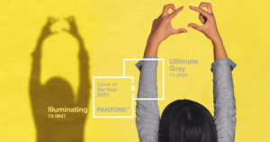 pantone2